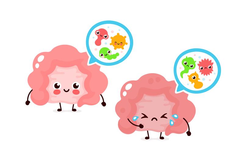 cartoons of a happy intestine and a sad one